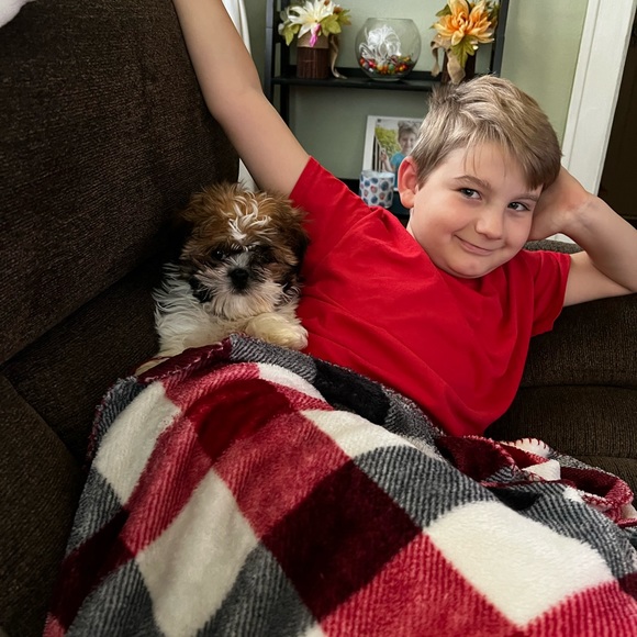 Meet your Posher, Dayna - Picture 1 of 1